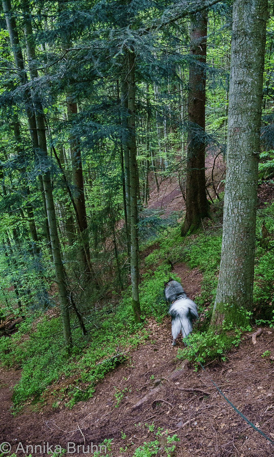 Q hat richtig Spaß!